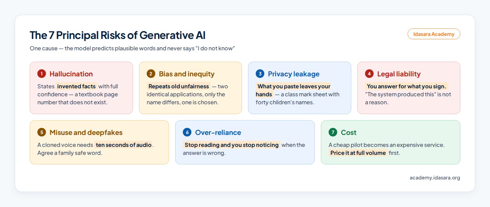 A systematic taxonomy of generative AI's 7 principal risks