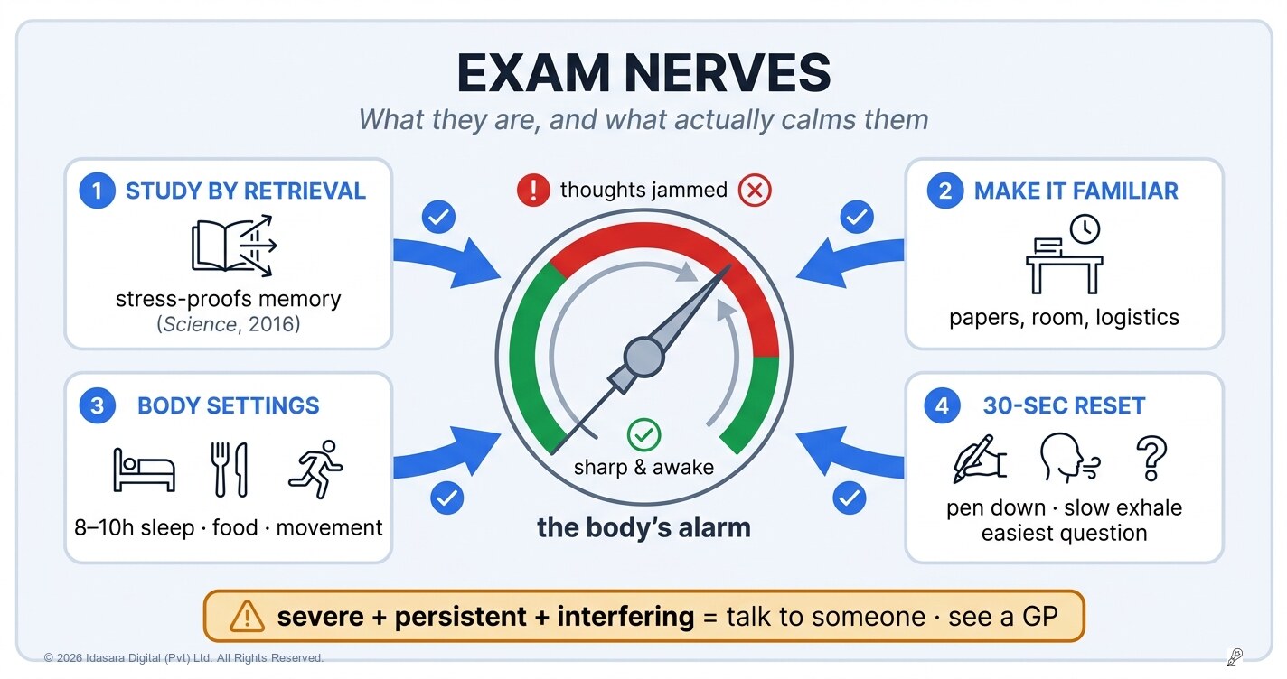 Exam Nerves: What They Are, and What Actually Calms Them