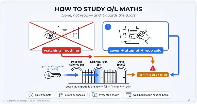 How to Study O/L Maths — and Stop Being Afraid of It