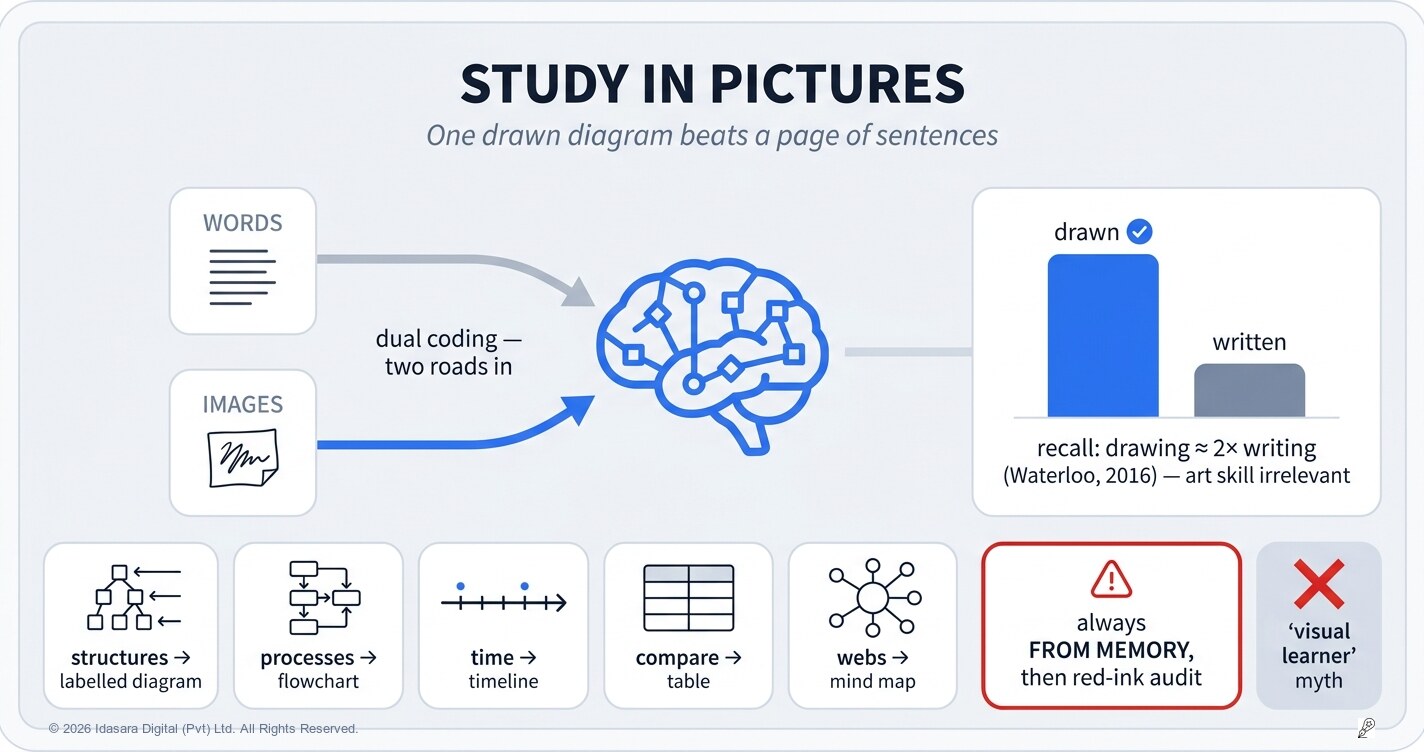 Study in Pictures: Why One Drawn Diagram Beats a Page of Sentences