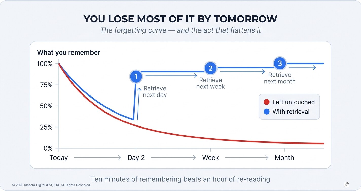 You Lose Most of Today's Studying by Tomorrow — Unless You Do This