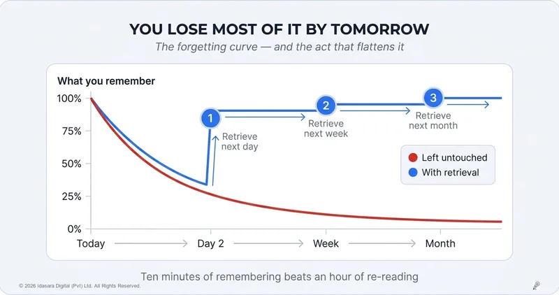 You Lose Most of Today's Studying by Tomorrow — Unless You Do This