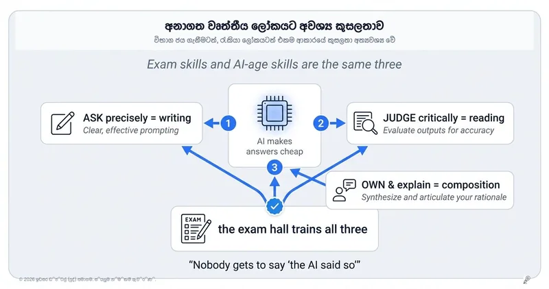 අනාගතයේදී රැකියා වෙළඳපොළේ ඉහළම වටිනාකමක් ලැබෙන දක්ෂතාවය ඔබ අද රාත්‍රියේ පුහුණු කරන දෙයයි