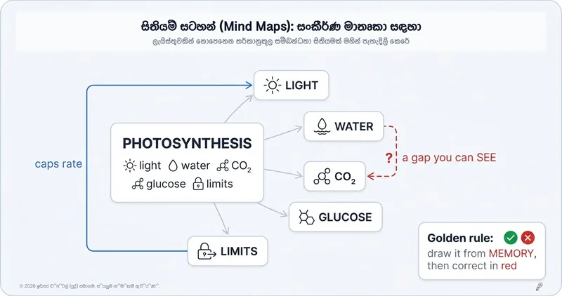 මයින්ඩ් මැප් මඟින් ඔබේ කෙටි සටහන් වඩාත් සාර්ථක කරගන්නේ කොහොමද?