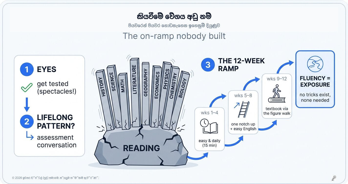 කියවීම මන්දගාමී නම්: කිසිවෙකු නොසෑදූ ප්‍රවේශ මාර්ගය
