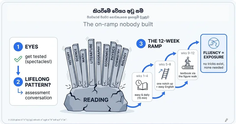 කියවීම මන්දගාමී නම්: කිසිවෙකු නොසෑදූ ප්රවේශ මාර්ගය