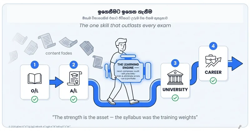 ඉගෙන ගන්නා ආකාරය ඉගෙන ගැනීම: විභාගවලින් ඔබ්බට පවතින එකම දක්ෂතාවය