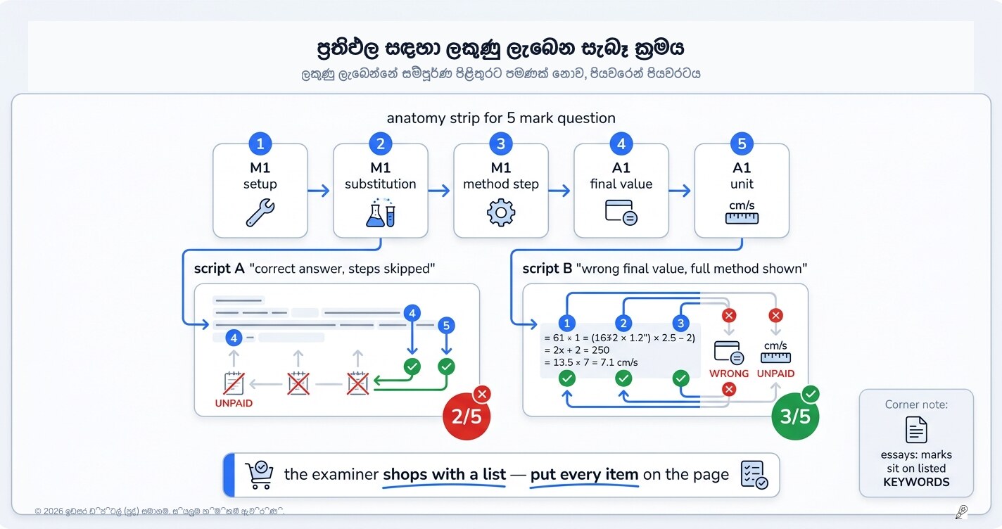 Method Marks vs Accuracy Marks: විභාග පරීක්ෂකවරු ඔබට ඇත්තටම ලකුණු ගෙවන්නේ කොහොමද?