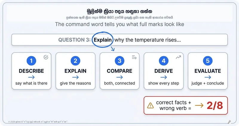 විස්තර කරන්න, පැහැදිලි කරන්න, ඇගයීමට ලක් කරන්න: එක වචනයක් ලියන්න කලින් ප්‍රශ්නයේ ඇති ක්‍රියා පදය කියවන්න
