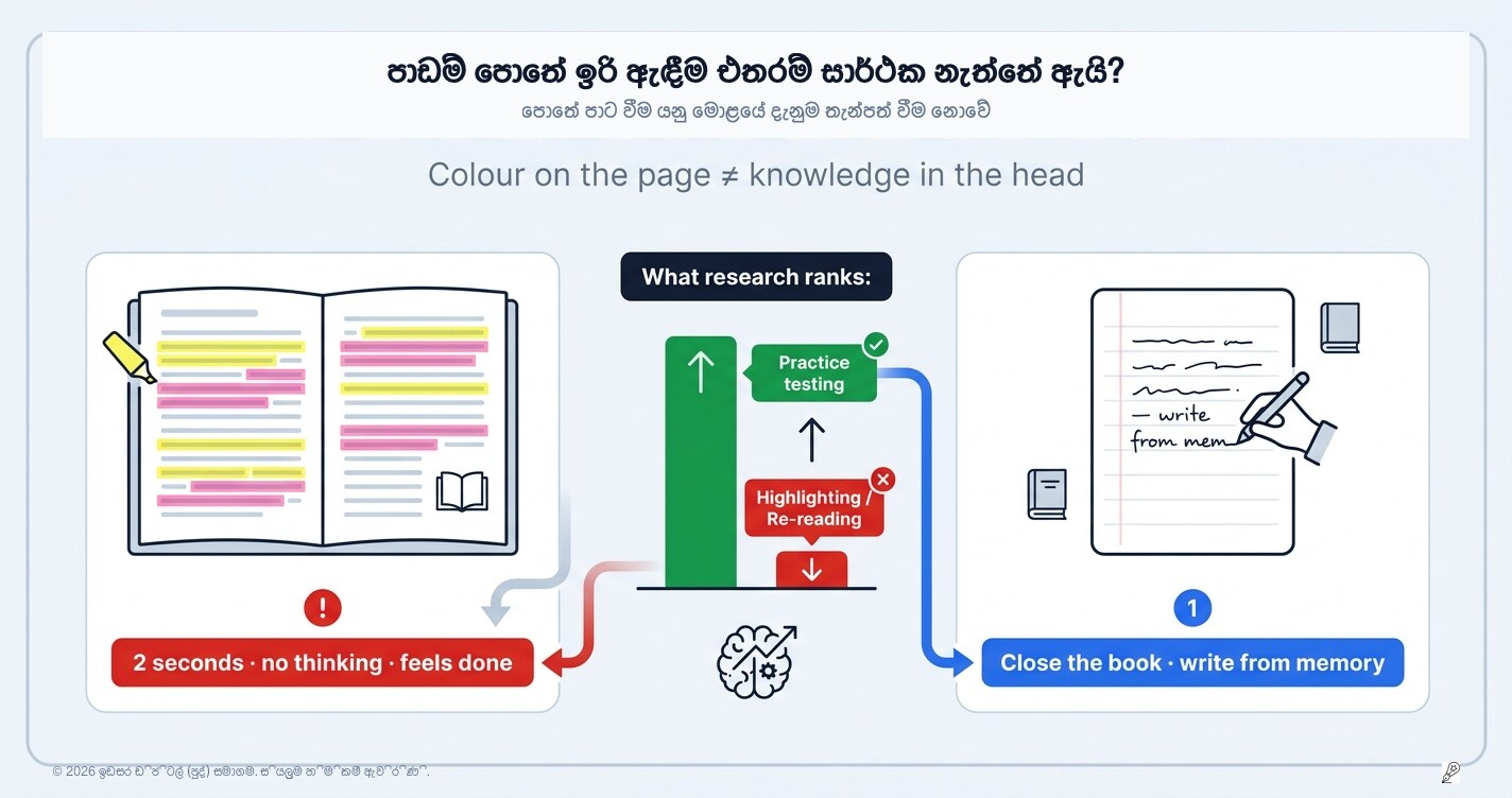 හයිලයිට් කිරීමෙන් වැඩක් නැත්තේ ඇයි? (සහ ඒ වෙනුවට මොළයට ඇත්තටම අවශ්‍ය කුමක්ද?)