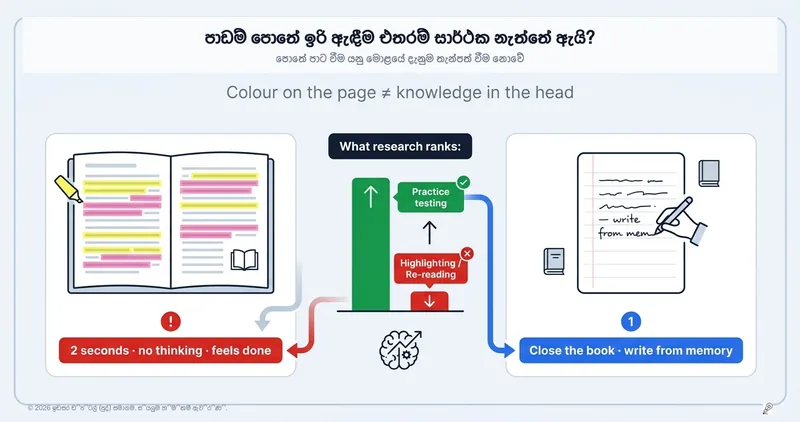හයිලයිට් කිරීමෙන් වැඩක් නැත්තේ ඇයි? (සහ ඒ වෙනුවට මොළයට ඇත්තටම අවශ්‍ය කුමක්ද?)