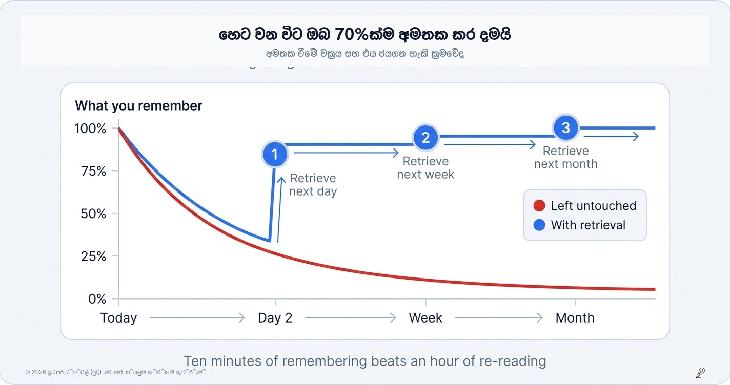 අද පාඩම් කරන දෙයින් වැඩි හරියක් හෙට වෙද්දී අමතකයි — මෙය නොකළොත්!