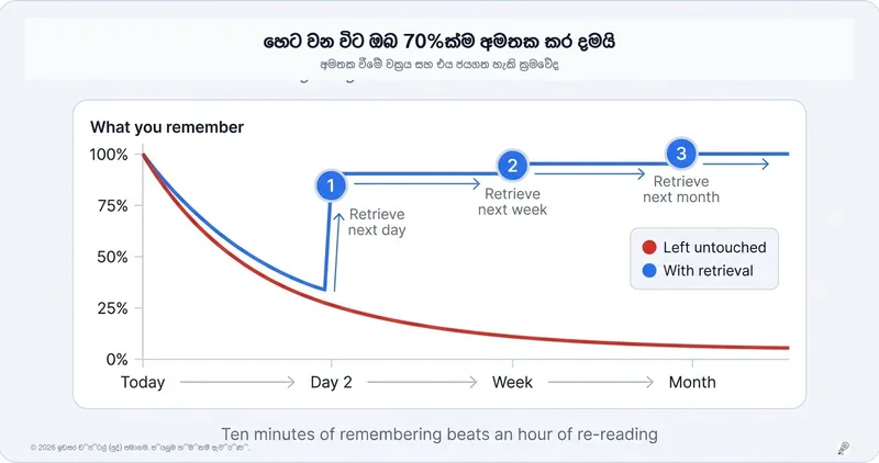 අද පාඩම් කරන දෙයින් වැඩි හරියක් හෙට වෙද්දී අමතකයි — මෙය නොකළොත්!