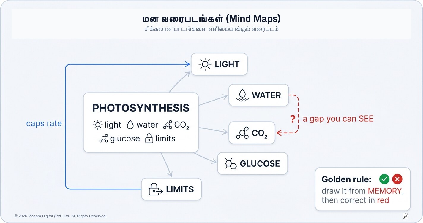 மனவரைபடங்கள் உங்களது சுருக்கக் குறிப்புகளை எவ்வாறு மேம்படுத்துகின்றன