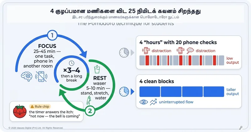 பொமோடோரோ முறை: 4 மணிநேரக் கவனச்சிதறலை விட 25 நிமிடக் கவனம் சிறந்தது ஏன்?