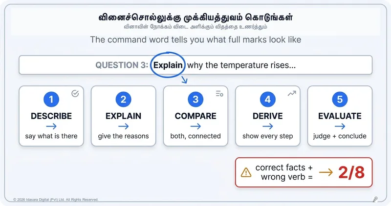 விவரி, விளக்கு, மதிப்பீடு செய்: விடையளிக்க முன் வினைச்சொல்லைக் கவனியுங்கள்